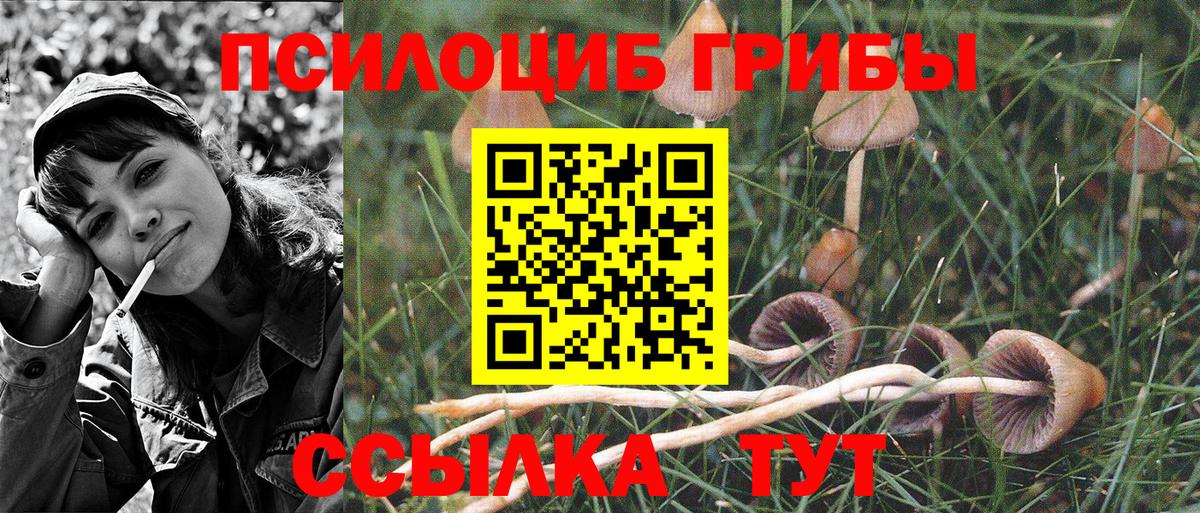 Псилоцибиновые грибы Magic Shrooms  Вход с VPN  Владимир 